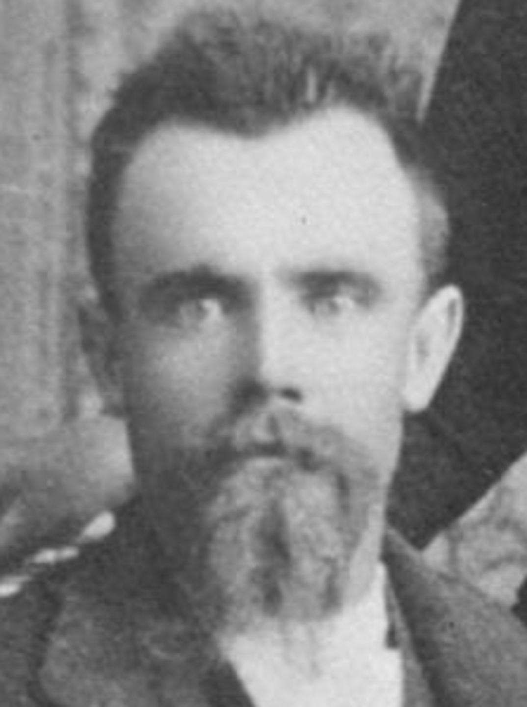 David Nicholson Adamson (1851 - 1912) Profile